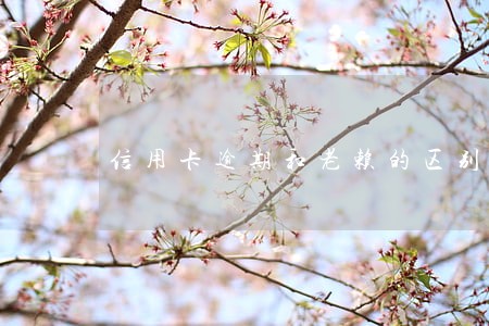 信用卡逾期和老赖的区别