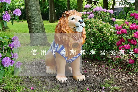 信用卡逾期和考驾照有关系吗 信用卡逾期和考驾照有关系吗