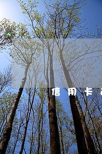 信用卡逾期和贷款逾期的后果