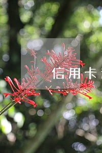 信用卡逾期和车贷逾期