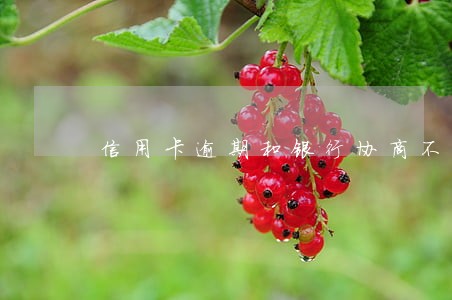 信用卡逾期和银行协商不能用 信用卡逾期和银行协商不能用