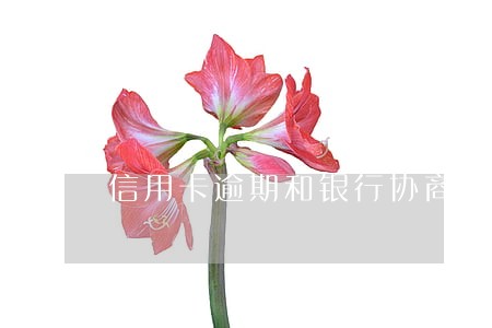 信用卡逾期和银行协商二次分期 信用卡逾期和银行协商二次分期