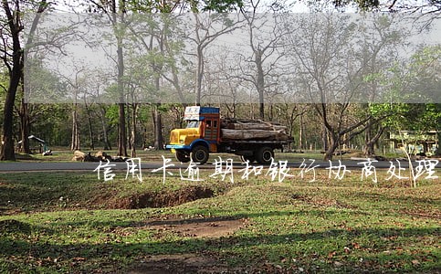 信用卡逾期和银行协商处理