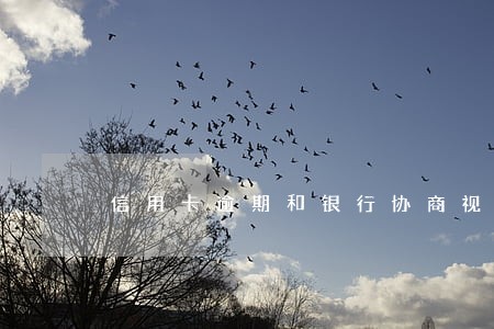 信用卡逾期和银行协商视频 信用卡逾期和银行协商视频