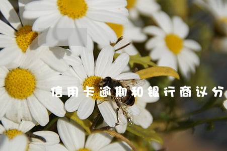 信用卡逾期和银行商议分期 信用卡逾期和银行商议分期