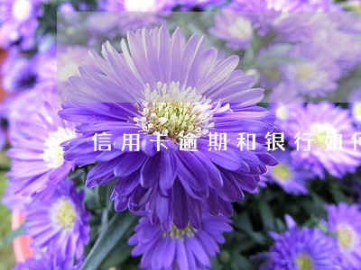 信用卡逾期和银行如何协商 信用卡逾期和银行如何协商
