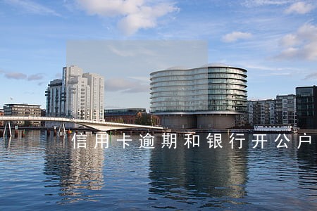 信用卡逾期和银行开公户 信用卡逾期和银行开公户