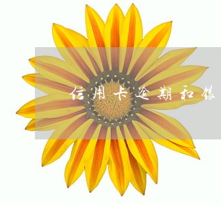 信用卡逾期和银行录入黑名单 信用卡逾期和银行录入黑名单