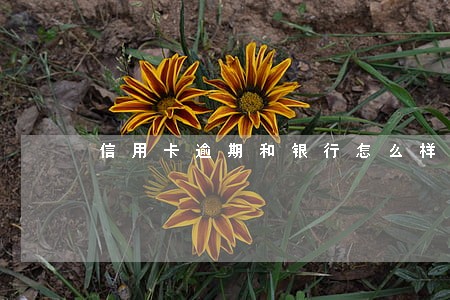 信用卡逾期和银行怎么样交涉 信用卡逾期和银行怎么样交涉