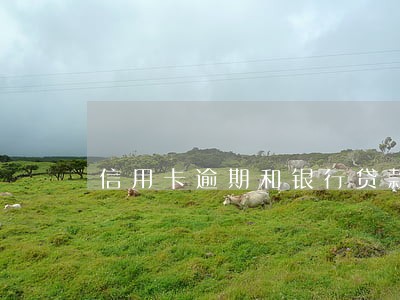 信用卡逾期和银行贷款的区别 信用卡逾期和银行贷款的区别