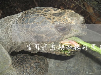 信用卡逾期和银行黑名单有区别吗