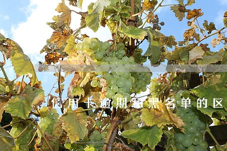 信用卡逾期和黑名单的区别