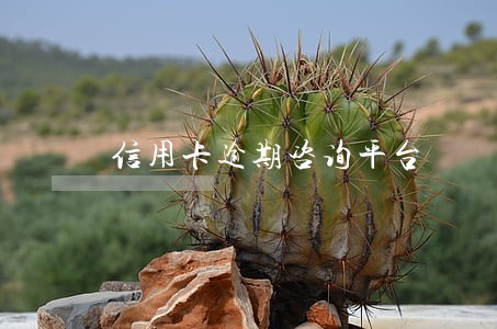 信用卡逾期咨询平台 信用卡逾期咨询平台