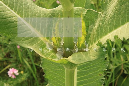 信用卡逾期咨询电话热线 信用卡逾期咨询电话热线