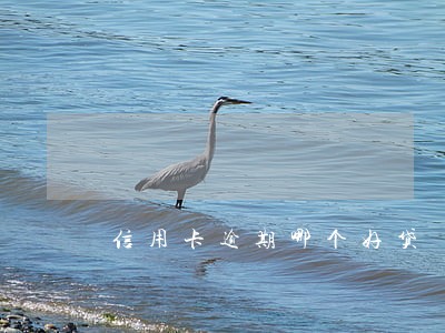 信用卡逾期哪个好贷 信用卡逾期哪个好贷
