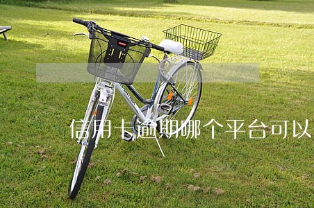 信用卡逾期哪个平台可以放 信用卡逾期哪个平台可以放