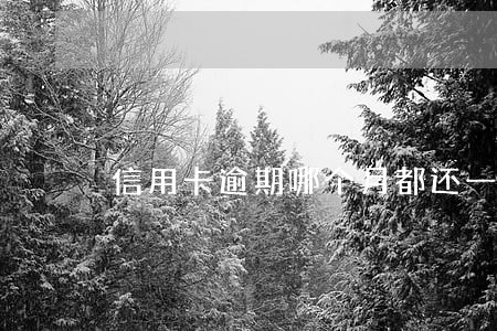 信用卡逾期哪个月都还一点会 信用卡逾期哪个月都还一点会