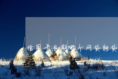 信用卡逾期哪个网贷能贷款吗 信用卡逾期哪个网贷能贷款吗
