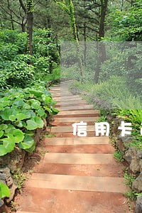 信用卡逾期哪个银行会起诉 信用卡逾期哪个银行会起诉