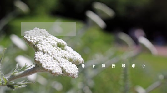 信用卡逾期哪个银行最难办 信用卡逾期哪个银行最难办