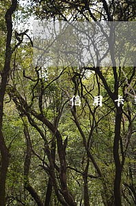 信用卡逾期哪些口子可以做 信用卡逾期哪些口子可以做