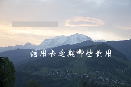 信用卡逾期哪些费用 信用卡逾期哪些费用