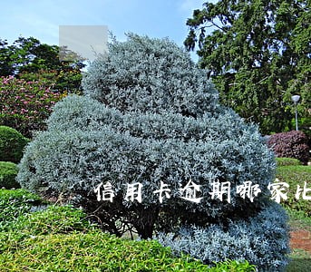 信用卡逾期哪家比较好协商 信用卡逾期哪家比较好协商