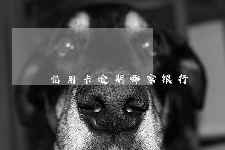信用卡逾期哪家银行