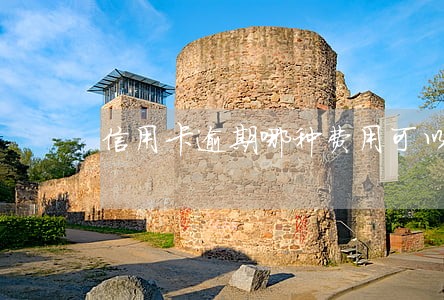 信用卡逾期哪种费用可以追回 信用卡逾期哪种费用可以追回