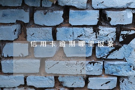 信用卡逾期哪里报案 信用卡逾期哪里报案