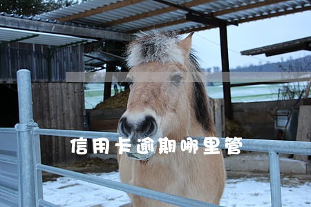 信用卡逾期哪里管 信用卡逾期哪里管