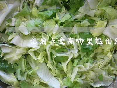 信用卡逾期哪里能借到钱2021 信用卡逾期哪里能借到钱2021