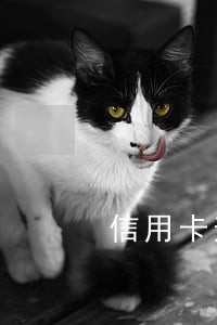 信用卡逾期哪里都可以还 信用卡逾期哪里都可以还