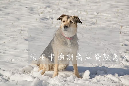 信用卡逾期商业贷款怎么贷 信用卡逾期商业贷款怎么贷