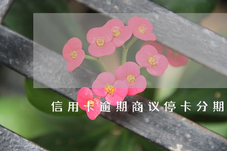 信用卡逾期商议停卡分期 信用卡逾期商议停卡分期