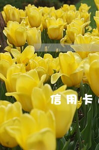 信用卡逾期商贷转公积金