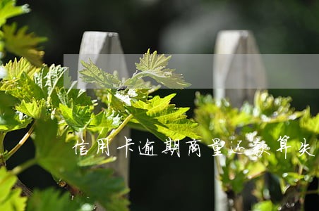 信用卡逾期商量还款算失信人吗 信用卡逾期商量还款算失信人吗