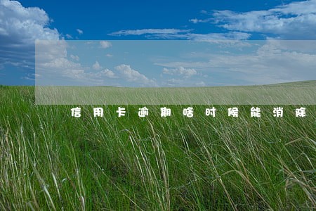 信用卡逾期啥时候能消除