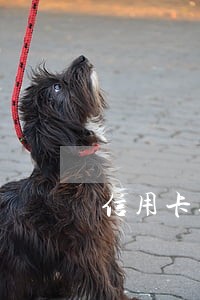 信用卡逾期啦咋整