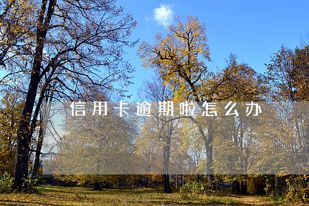 信用卡逾期啦怎么办 信用卡逾期啦怎么办