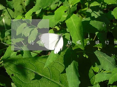信用卡逾期喊去银行协商 信用卡逾期喊去银行协商