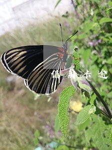 信用卡逾期四 信用卡逾期四