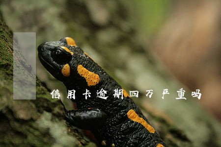 信用卡逾期四万严重吗 信用卡逾期四万严重吗