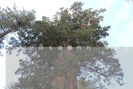 信用卡逾期四万二年还不起