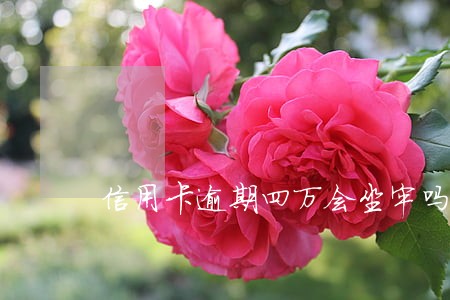 信用卡逾期四万会坐牢吗