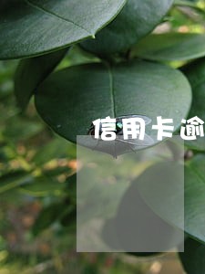 信用卡逾期四万元起诉需要多久 信用卡逾期四万元起诉需要多久
