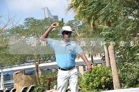 信用卡逾期四万利息是多少钱