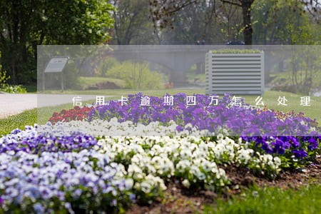 信用卡逾期四万怎么处理最好 信用卡逾期四万怎么处理最好