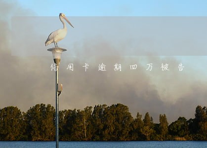 信用卡逾期四万被告 信用卡逾期四万被告