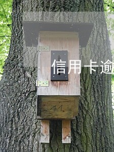 信用卡逾期四个月5000多元 信用卡逾期四个月5000多元